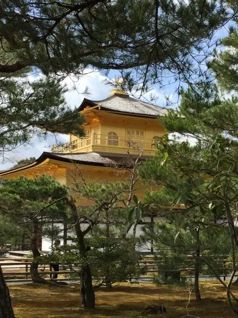息子と奈良・京都旅行Part２_1_15-2