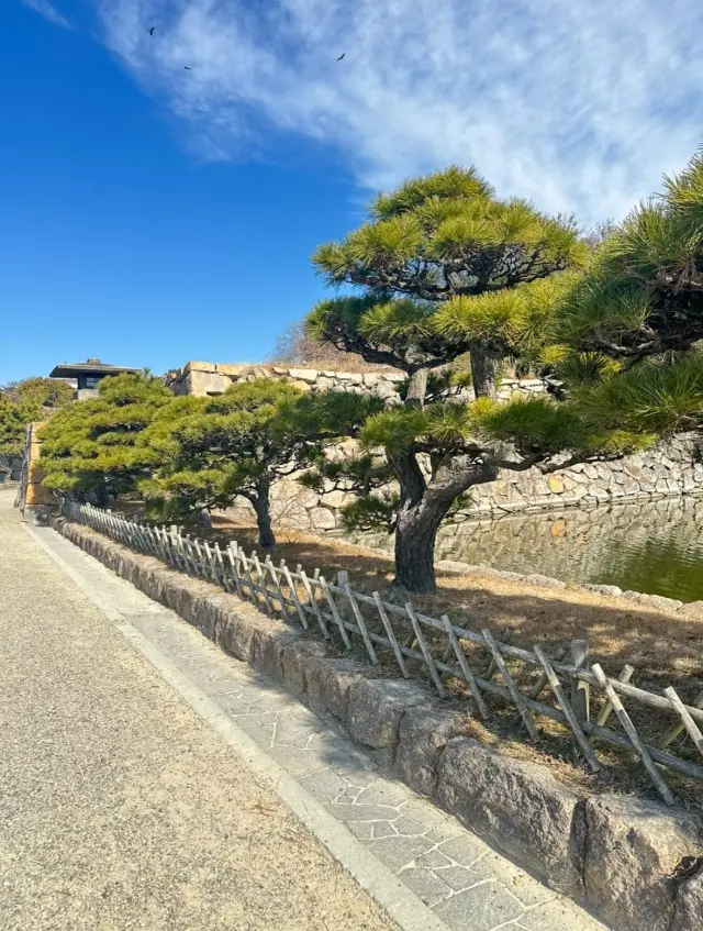 青空で明石城。_1_10