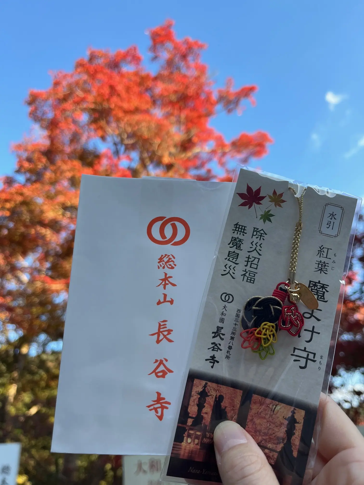 奈良県　曾爾高原　ススキ　　長谷寺　なら派　紅葉厄よけ守