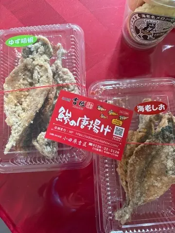 海老名SAを敢えて目的地に〜近場で過ごすGW〜_1_20