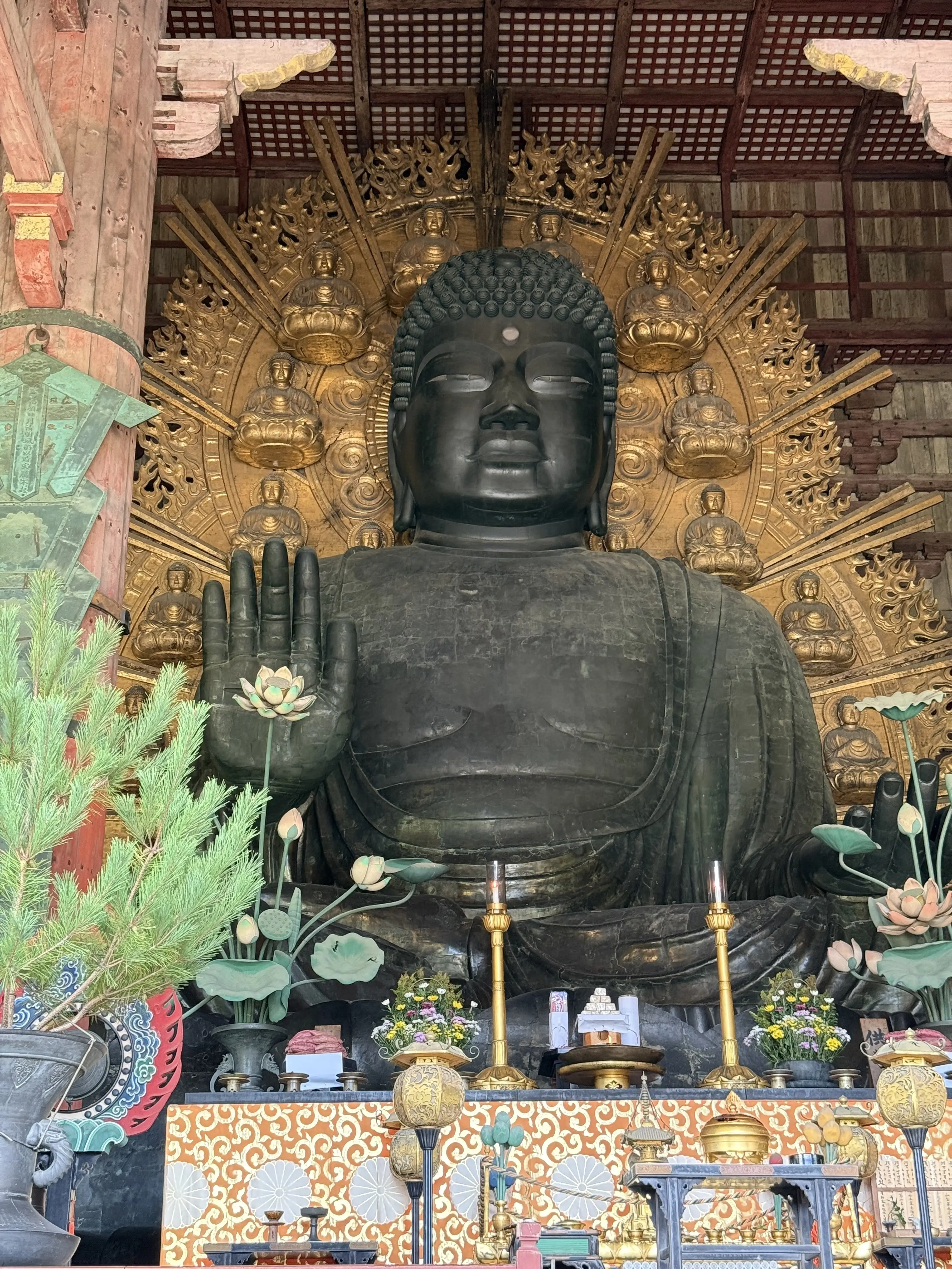 奈良　奈良公園　東大寺　南大門　大仏殿　奈良の大仏　二月堂　絶景　奈良観光　奈良観光スポット　中谷堂　よもぎ餅　高速餅つき