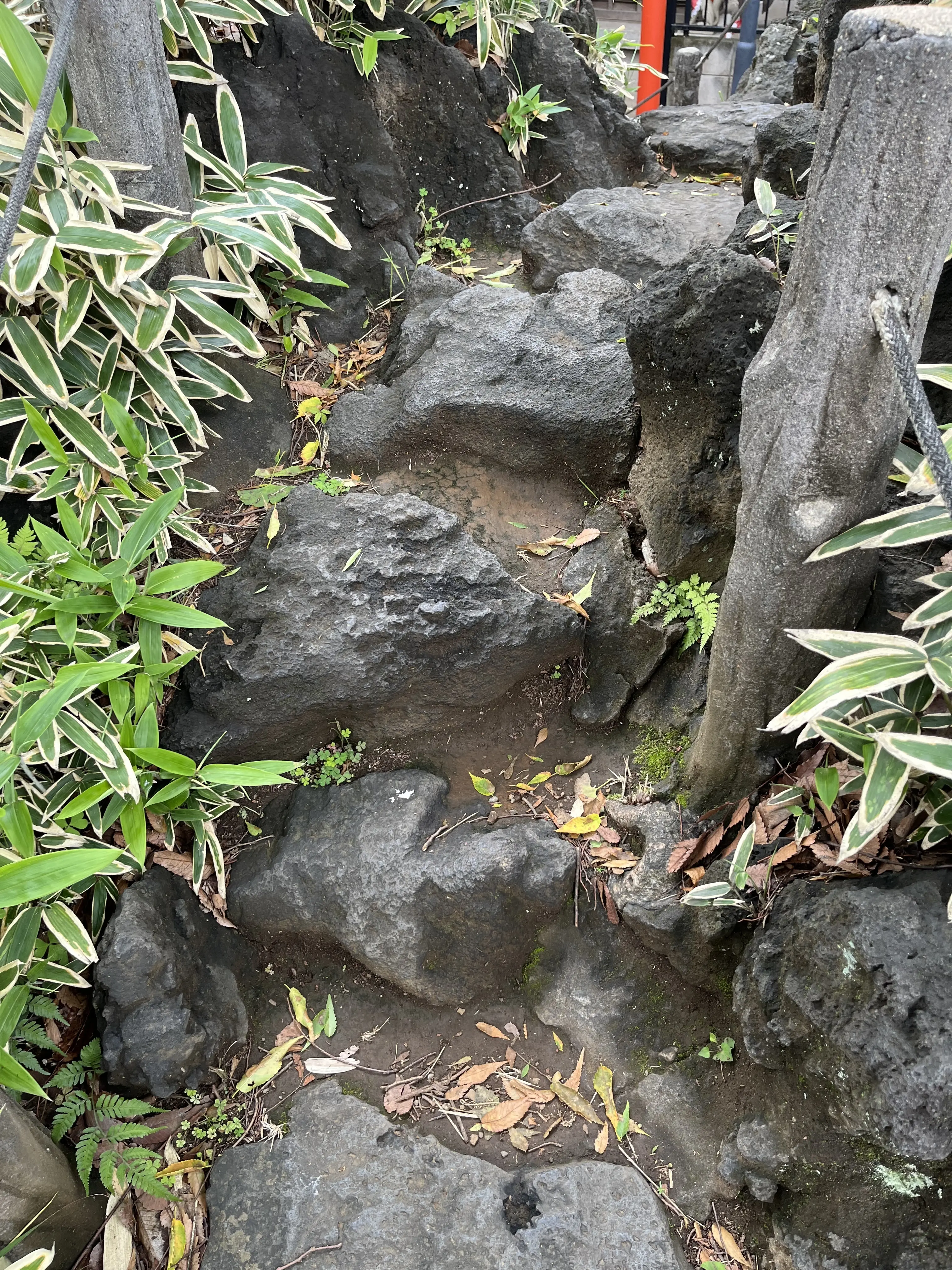 目白から千駄ヶ谷・新宿へ_1_13-1