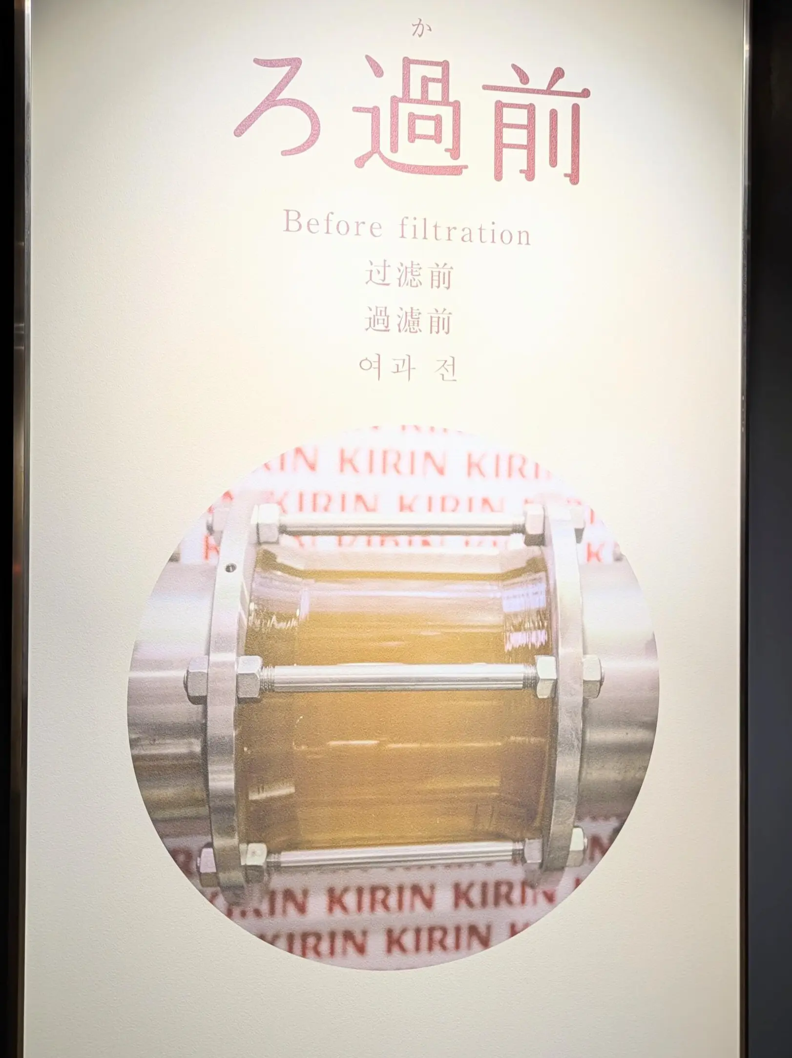 ビールのろ過前