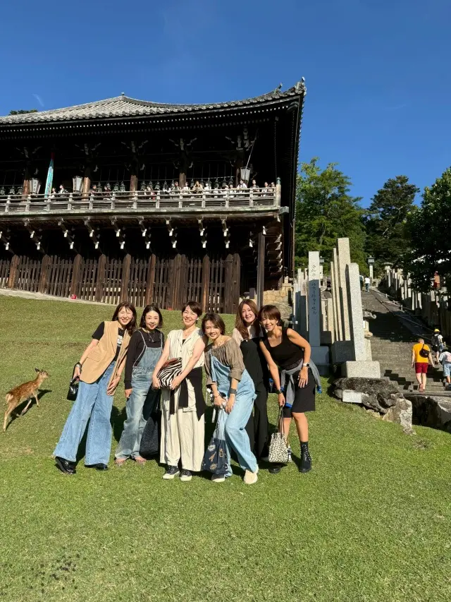 極上の奈良の朝、神秘的な光景。_1_1