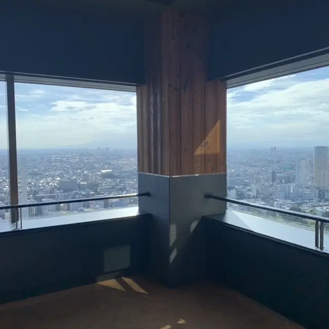 恵比寿ガーデンプレイス38階からの展望