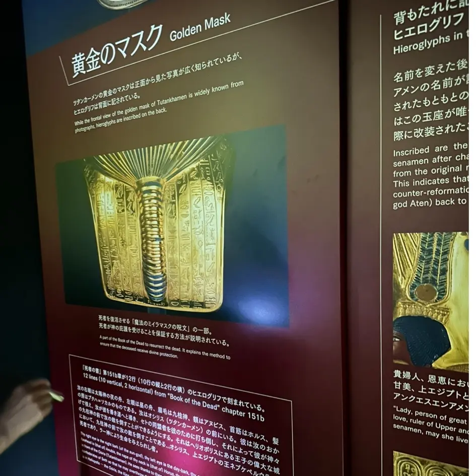 《体感型古代エジプト展　ツタンカーメンの青春》_1_9