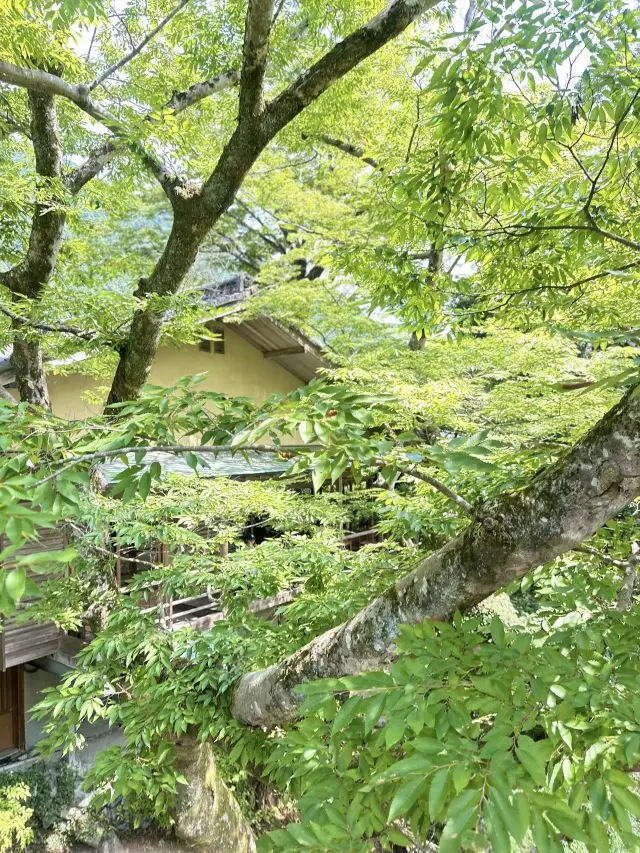 奥多摩プチトリップ_1_7