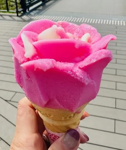 国内旅行　秋田　秋田旅行　角館　大曲　秋田犬　花火大会　武家屋敷　秋田土産　秋田銘菓　
 比内地鶏　羽田空港　秋田空港　日本酒　地酒　地ビール  桜　花見 もろこし　日本三大花火　秋田駅　ババヘラアイス　ババヘラ
