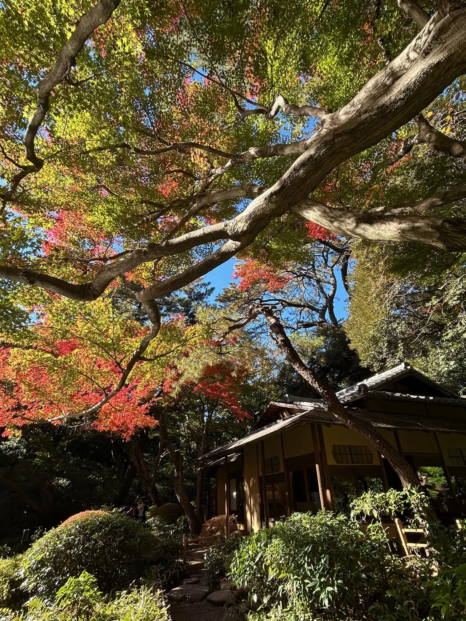 日本庭園