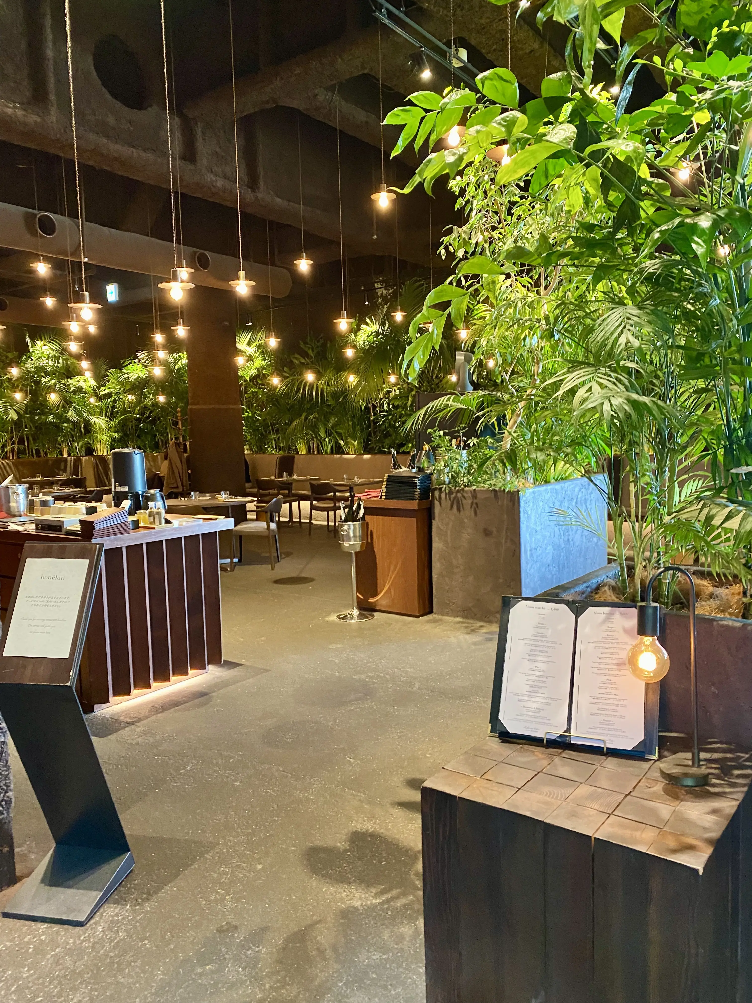 bonélan（ボネラン）の店内。グリーンに囲まれたダイニングと落ち着いた照明が印象的な空間