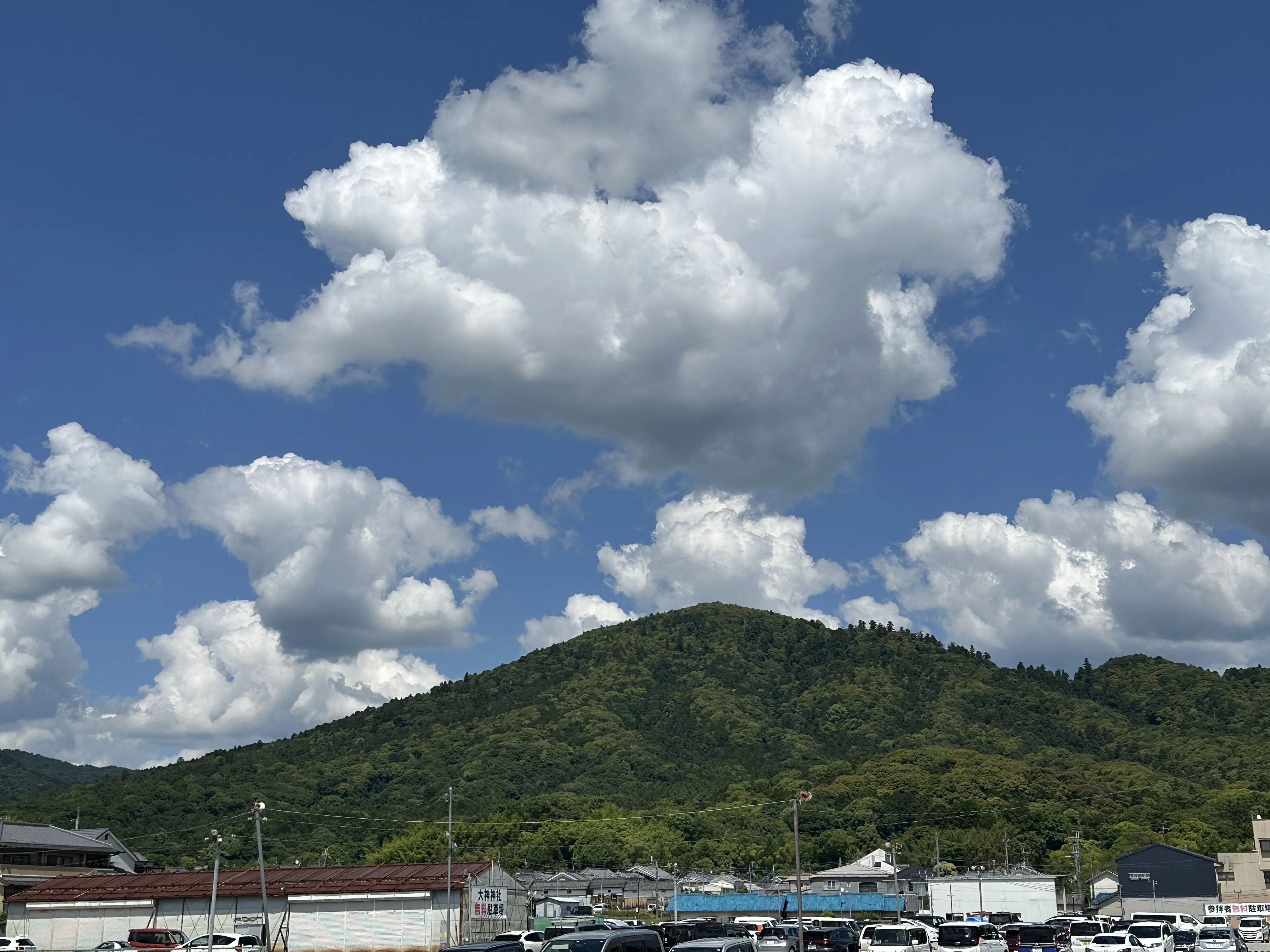 最古の神社。スーパーパワースポット、奈良の大神神社へ_1_2