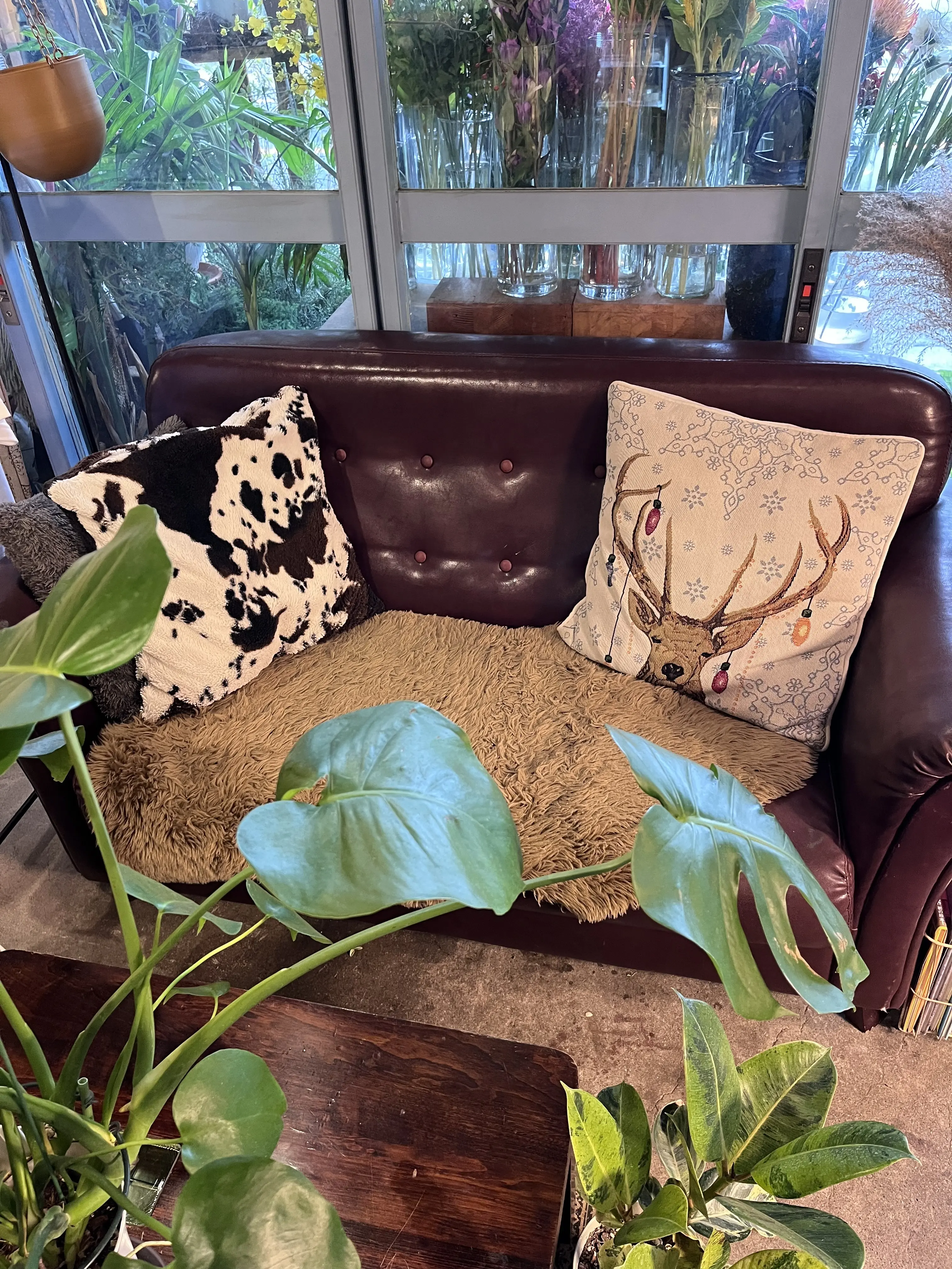 今年は早めのクリスマスリース作り_1_5