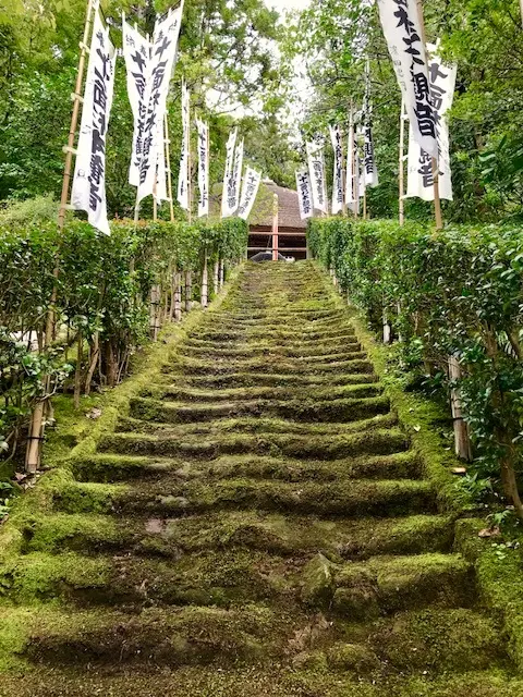 杉本寺 苔の階段