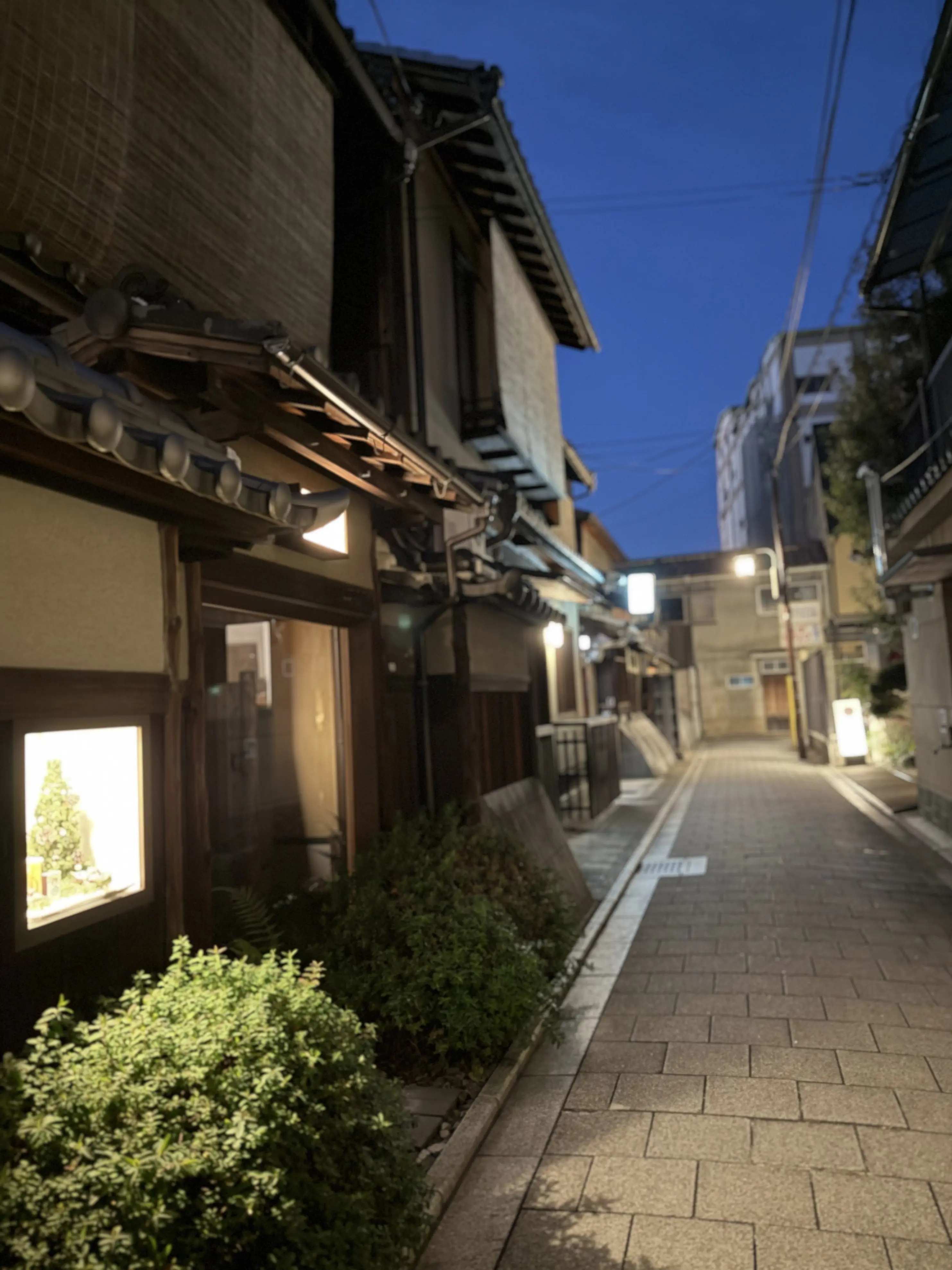京都　祇園　祇園四条　豆腐料理　豆水楼　名店　老舗　カフェ　　ランチ　祇園店　豆腐料理専門　京都グルメ　京都カフェ　祇園四条グルメ　祇園グルメ　祇園カフェ　ZENcafe ゼンカフェ　人気カフェ　再会ランチ　エクラ　華組　Jマダム　京都観光　ゼンカフェ　くずもち　上生菓子
