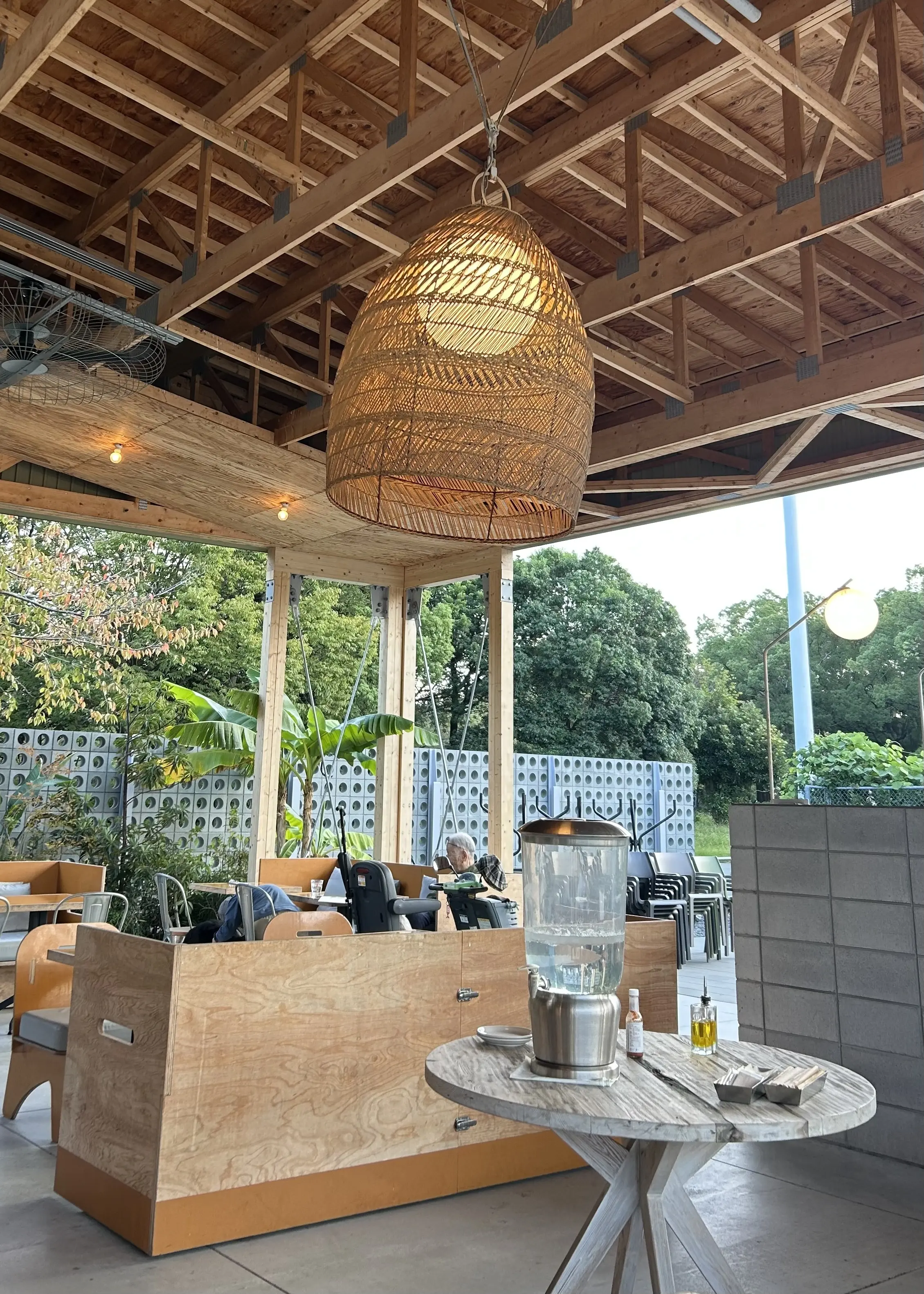 秋空とコスモスの丘✨_1_11-1