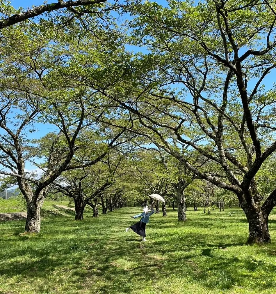 雫石川園地