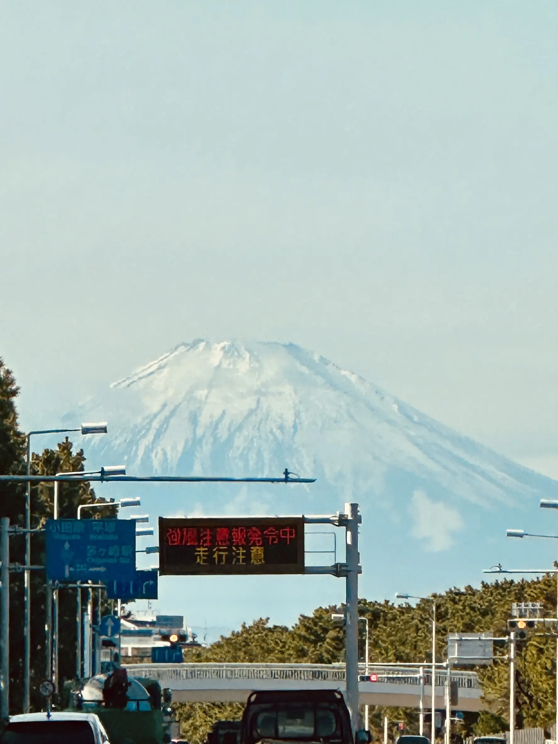 「茅ヶ崎で海の幸」と「鎌倉山のスイーツ」を楽しむ大人の日帰りドライブ旅行_1_1