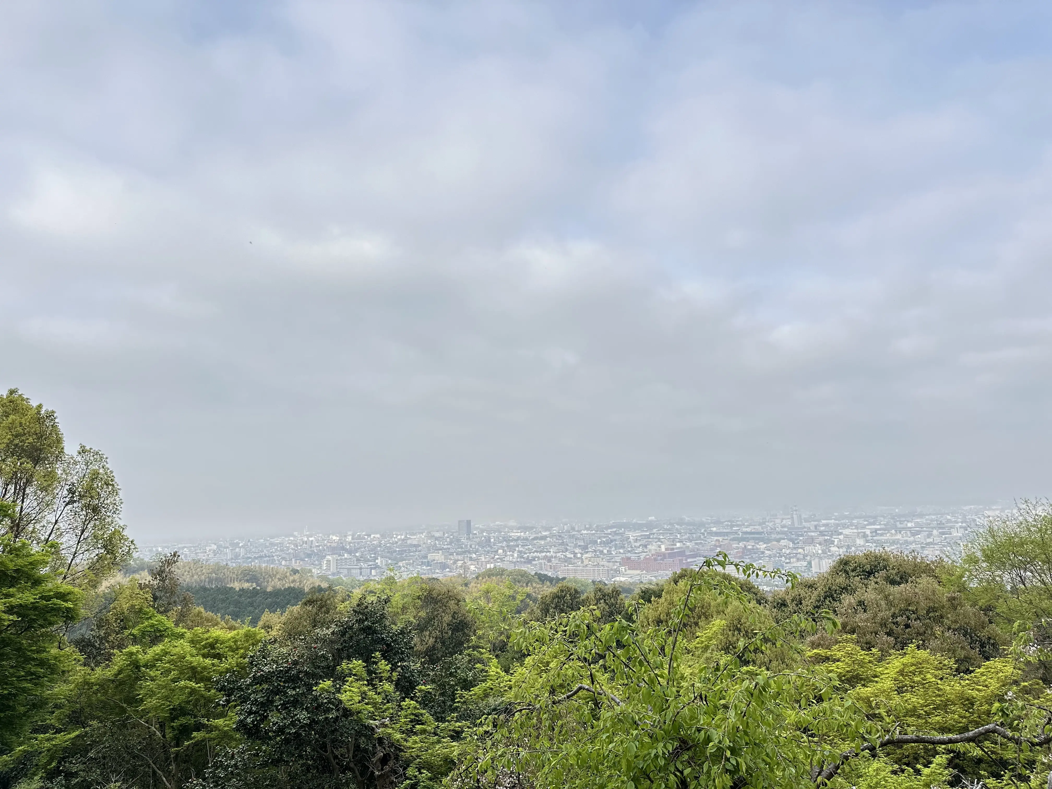京都小旅行_1_3