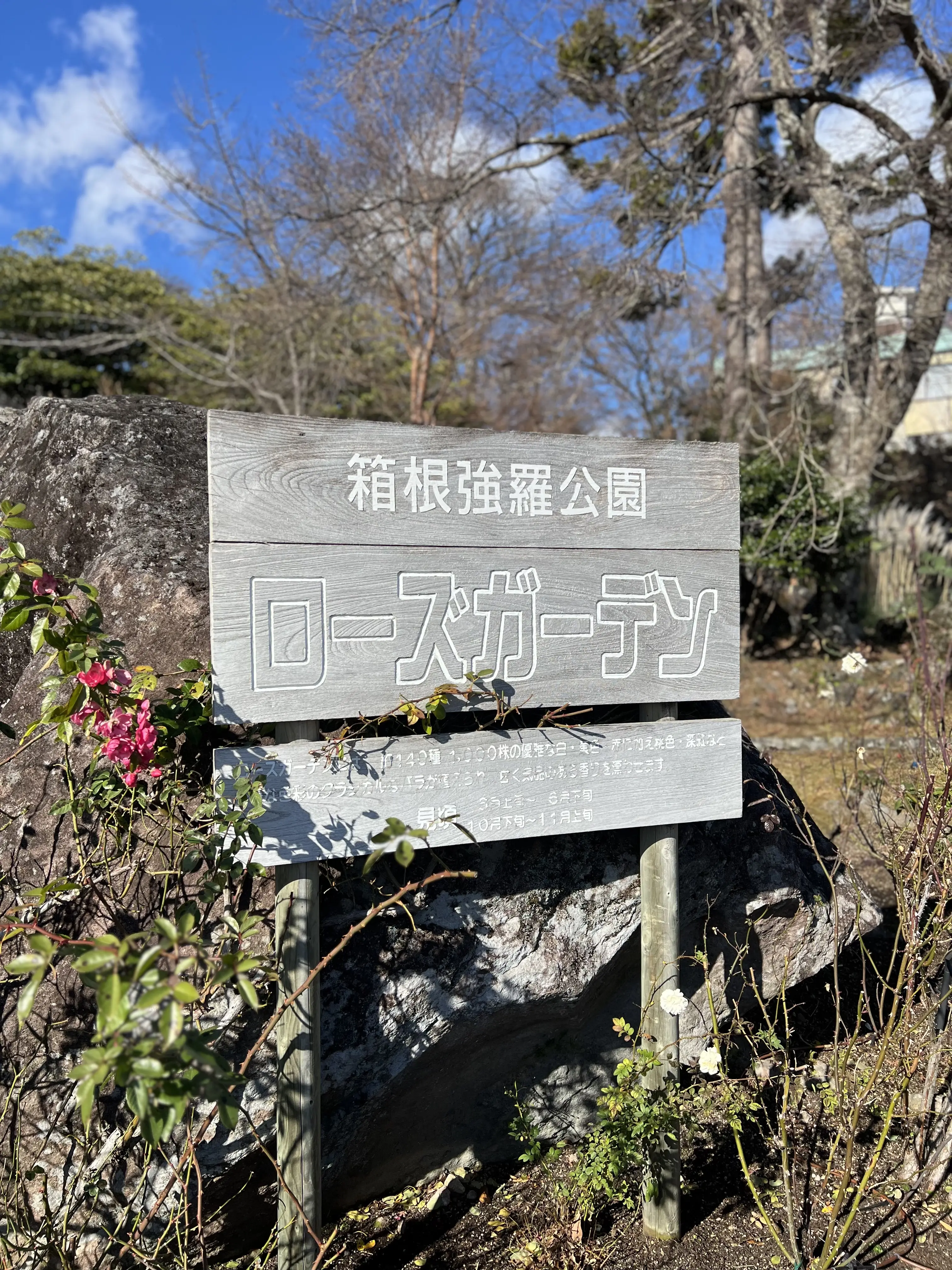 春もっと綺麗だろうな