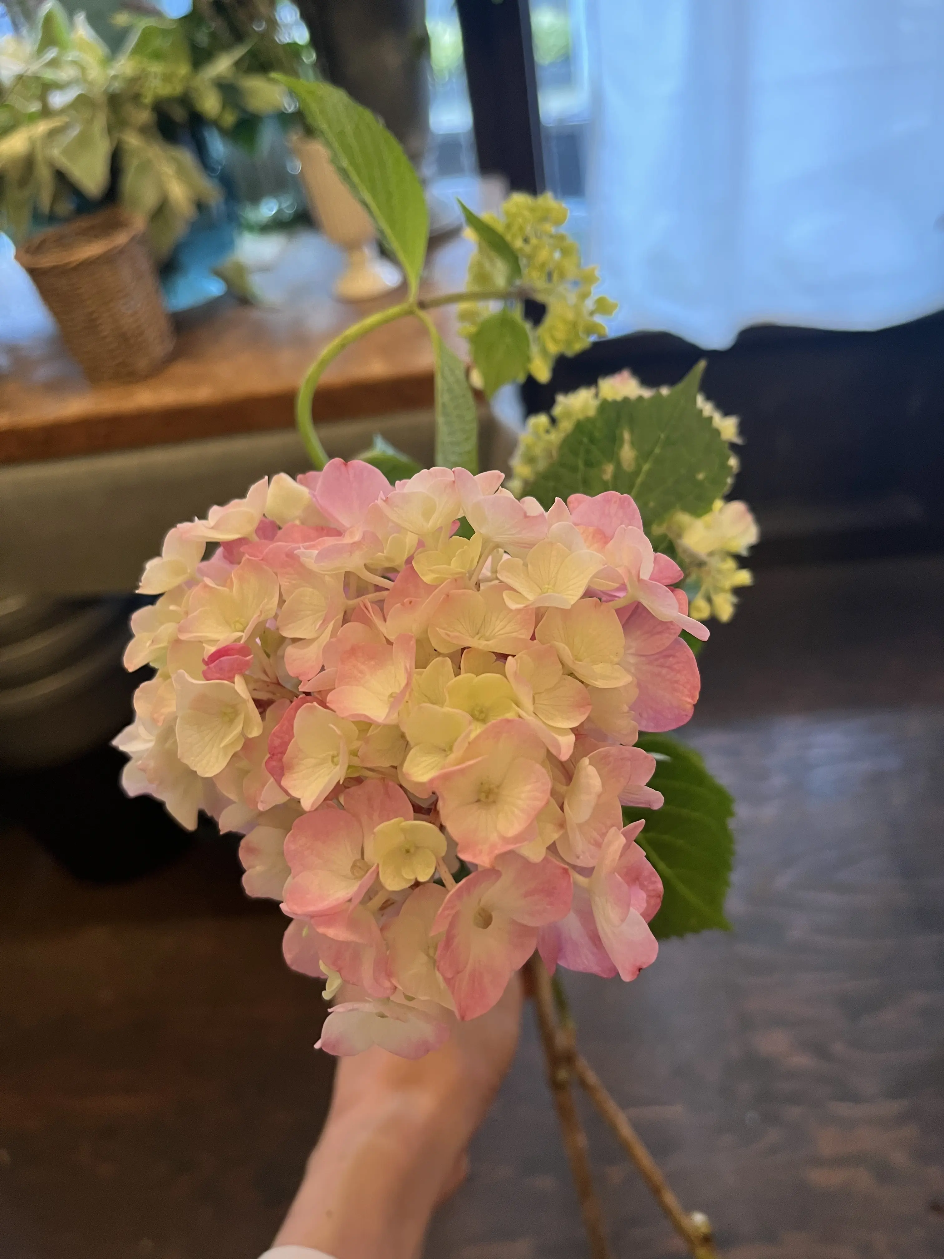 初めて選んだお花でブーケ_1_6