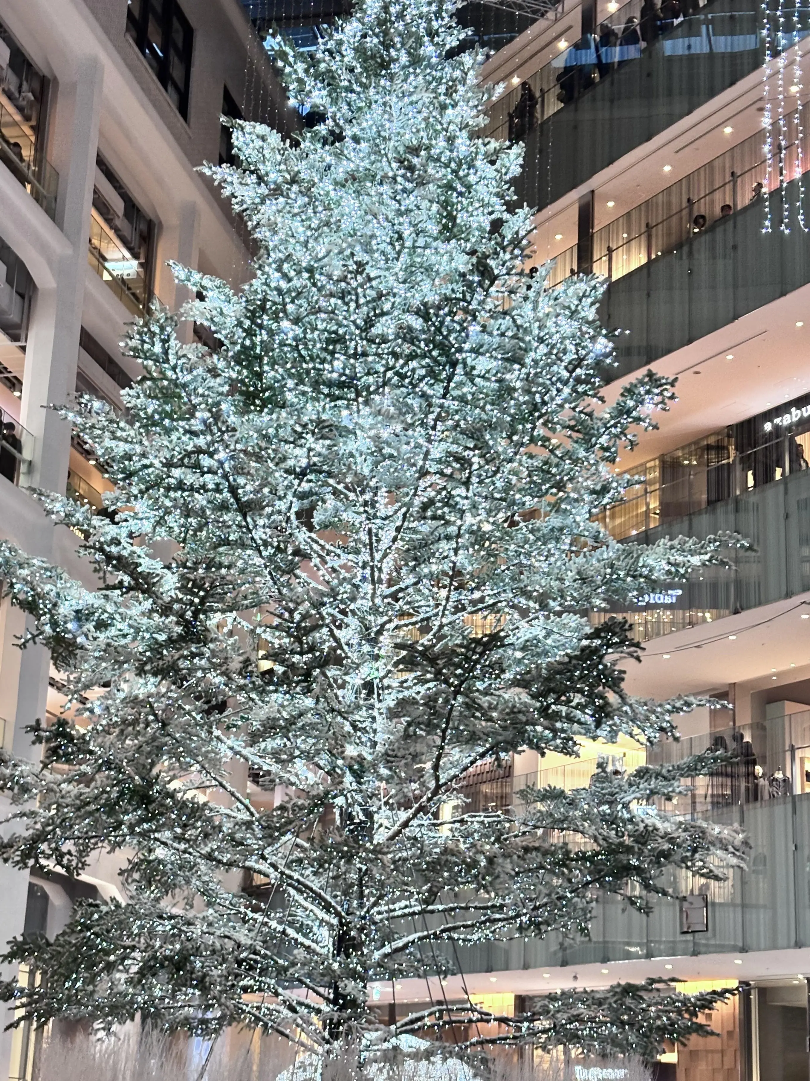 KITTEクリスマスツリー