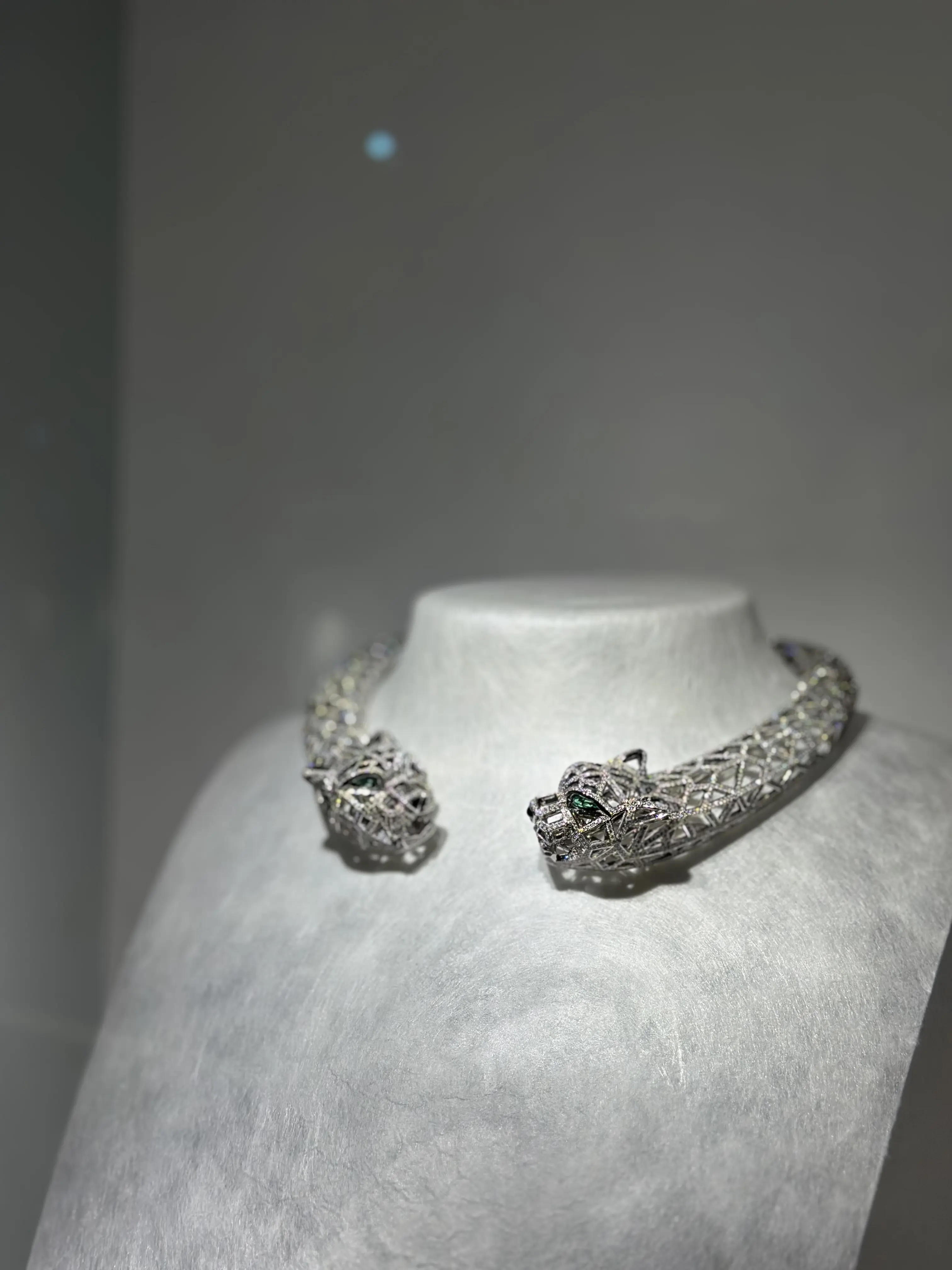 Cartier&quot;INTO TO THE WILD&quot;へ_1_6-2