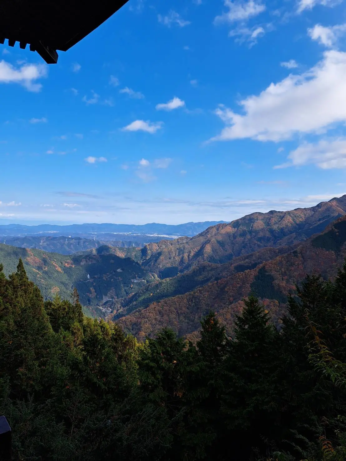 鳥居横の展望台からの景色⛰️埼玉の山もすごい?⤴️