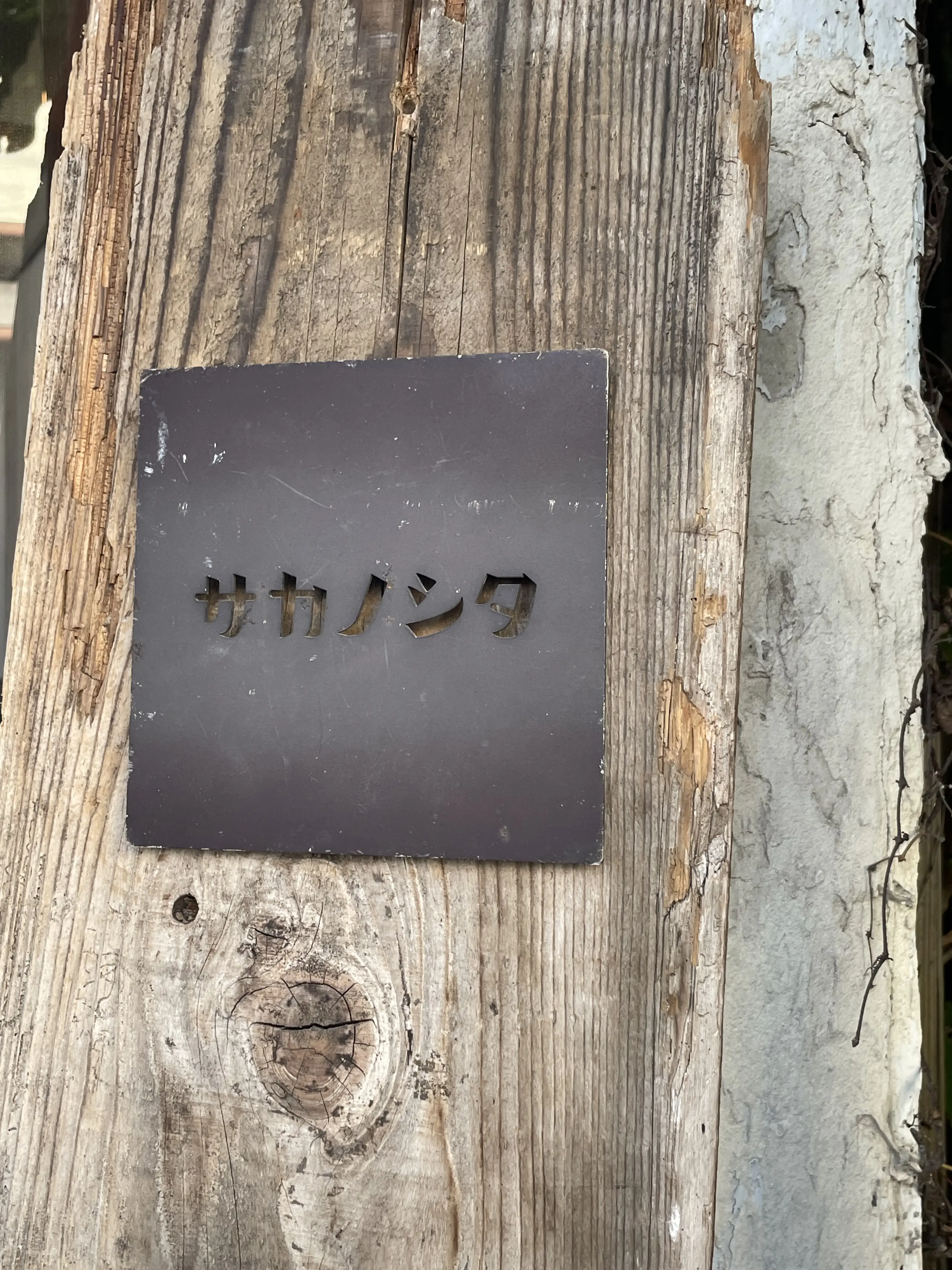サカノシタ