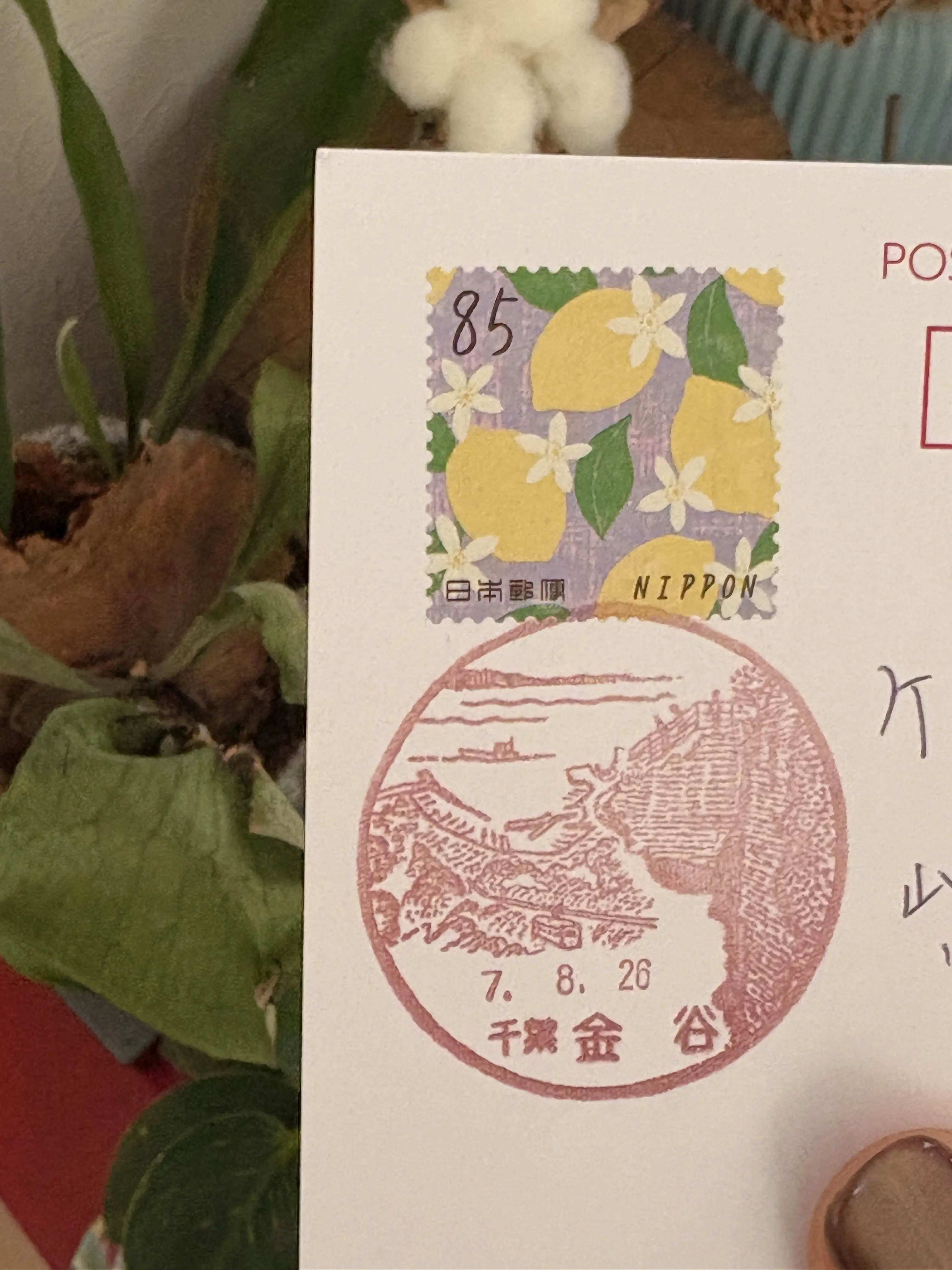 館山　千葉　夏休み　夫婦旅行