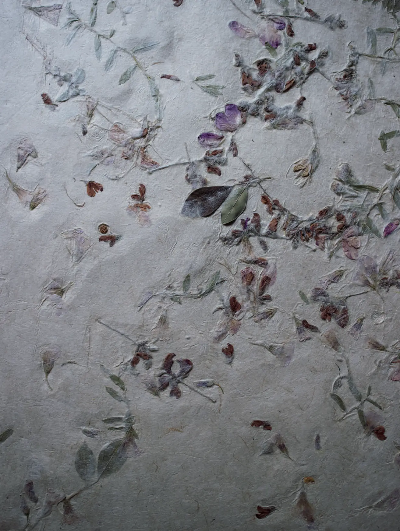 国内旅行　輪島　能登仁行和紙　可憐な花々を漉き込んだ「野集紙」は、二代目の母が生み出した 作品　