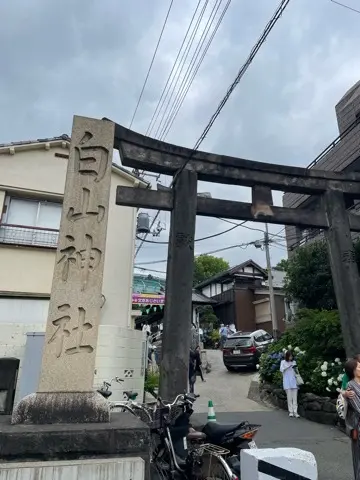 紫陽花鑑賞　今年は..._1_1