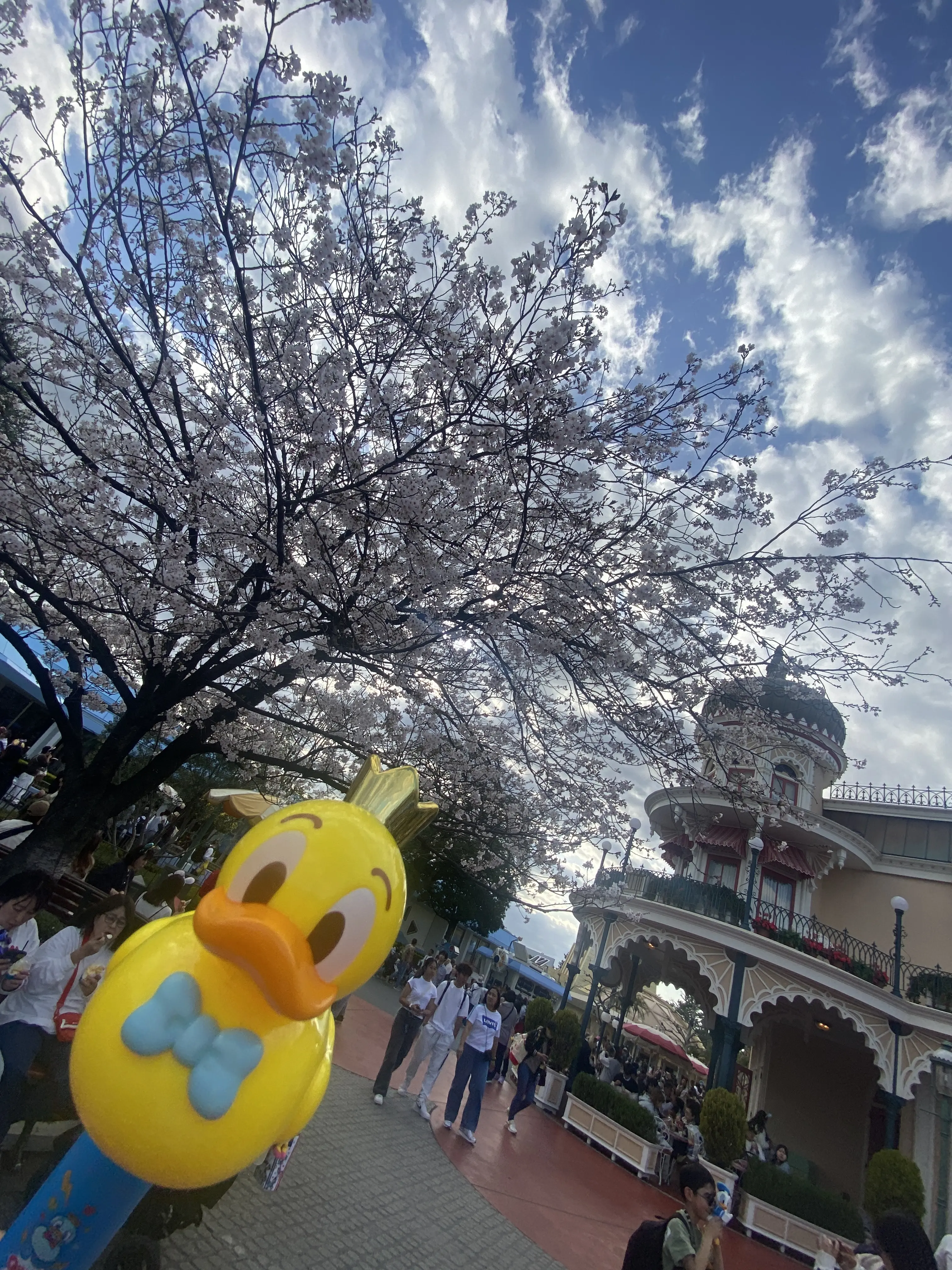 ひとりディズニーデビュー_1_2