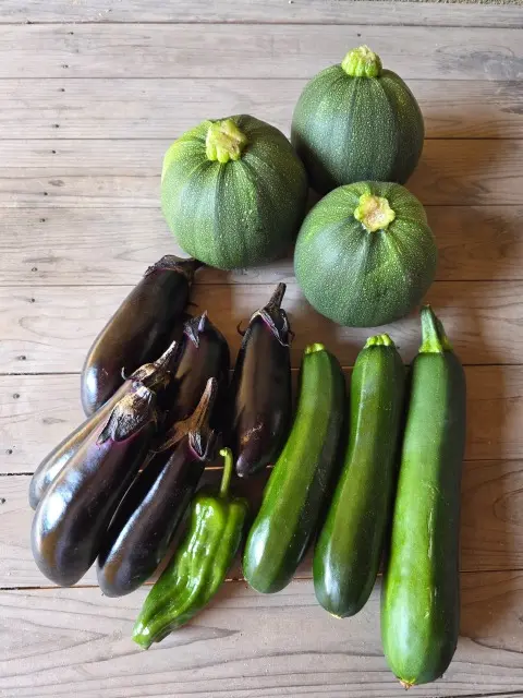 最近のお野菜たち_1_4