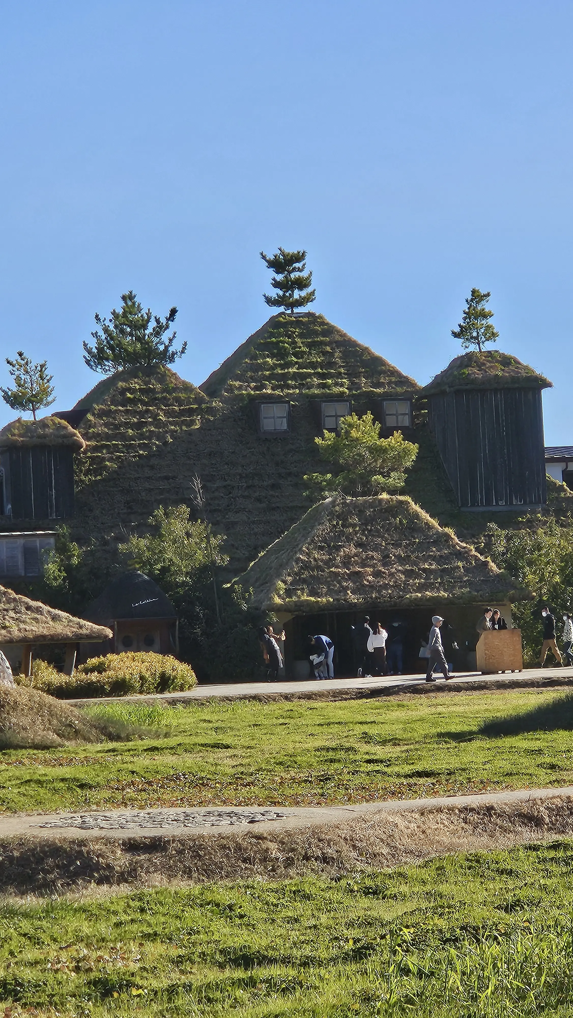 自然と調和する建物