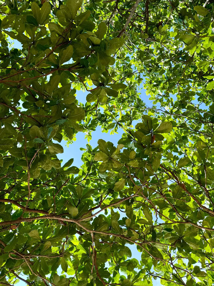 【50代夫婦旅行】 大人がのんびり楽しめるビーチと街があるバリ島サヌール地区_1_44