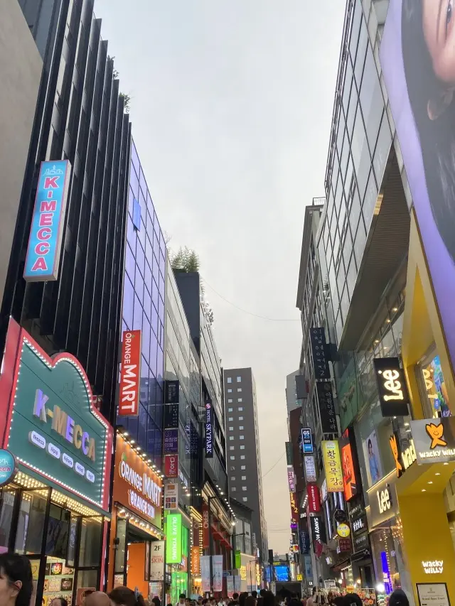 渡韓！美食とショッピングの旅_1_15