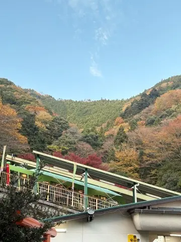 想像以上の絶景に出会えた神奈川の紅葉の見どころ〜大山編〜_1_2