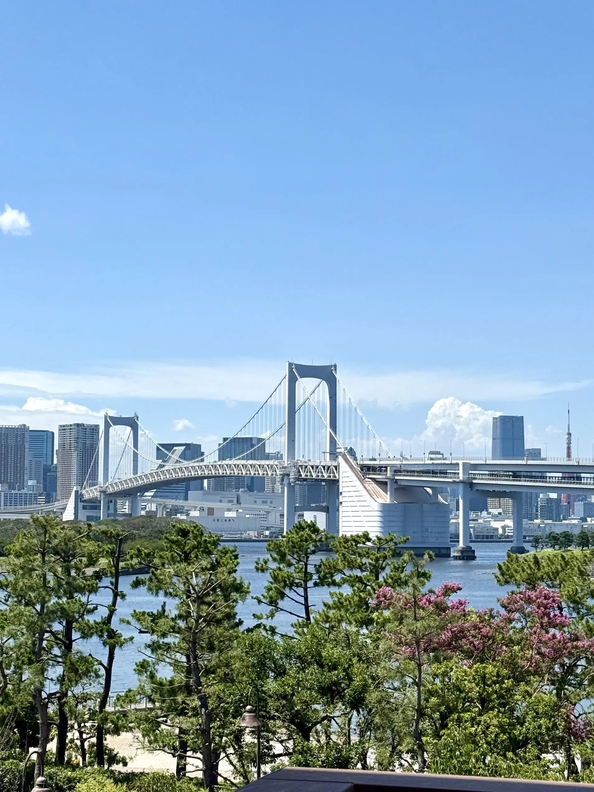 お台場　レインボーブリッジ