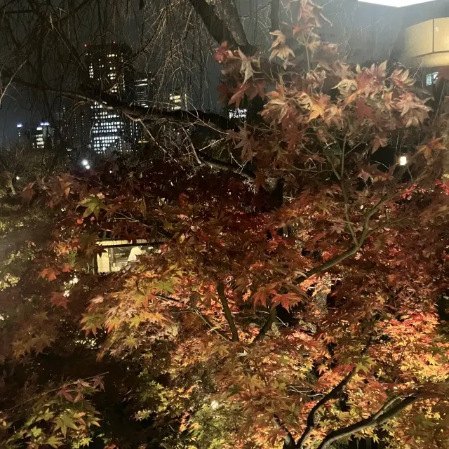 とうふやうかいでいつメンディナー_1_6