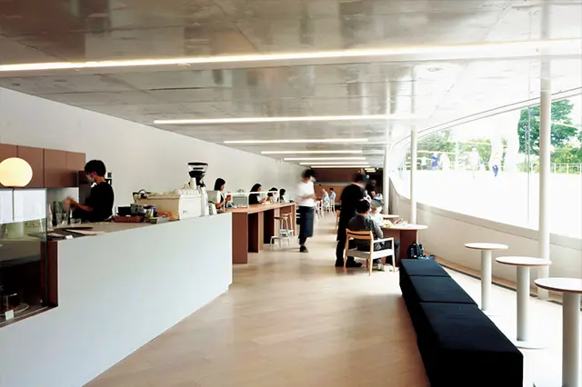 カフェは 館の右翼側地下にあるが、ガラ スのファサードのおかげで明る く開放的