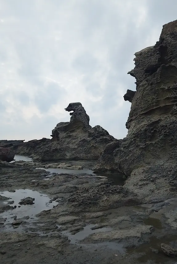 ゴジラ岩①