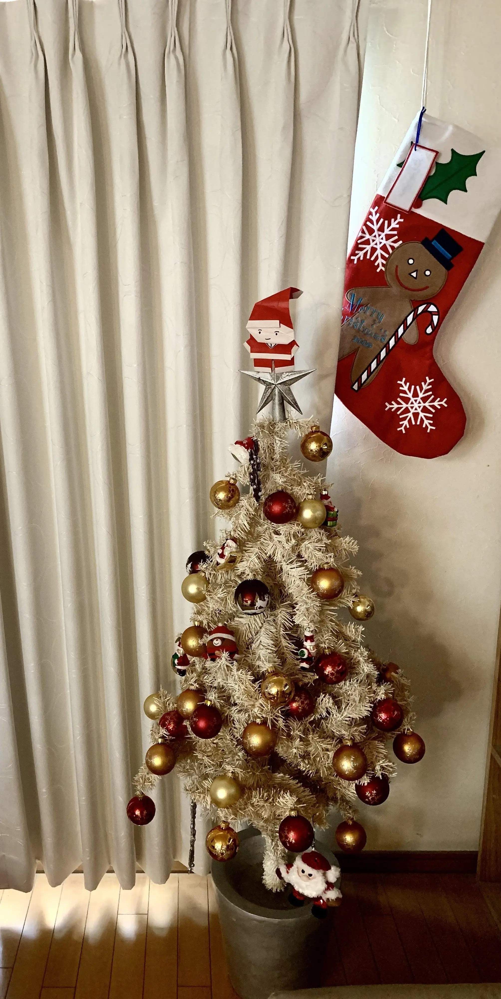 もうすぐクリスマスですね🎄_1_1