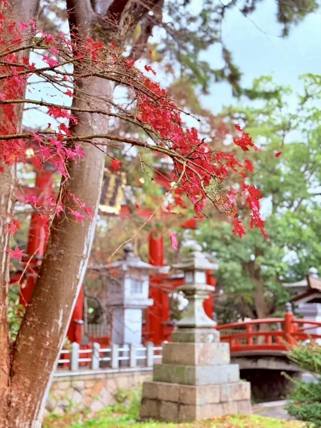 北陸の守護神「氣比神宮」へ 松尾芭蕉が愛した月と秋の風景に触れて…_1_1