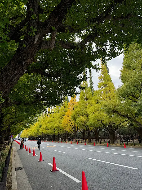 東京紅葉散策♪_1_1