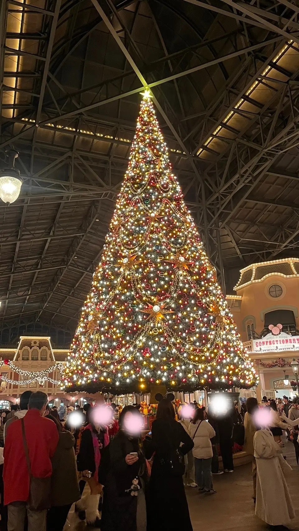 ２０２４年クリスマス直前！！【東京ディズニーランド】のクリスマスを母娘三世代で楽しみました♪_1_19