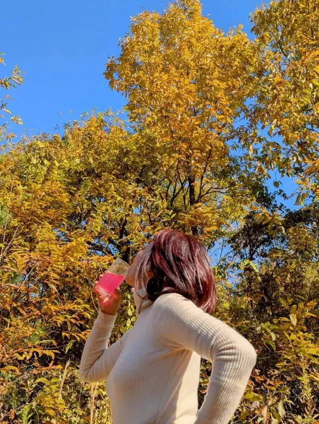 秋の恵みたっぷり！手作り酵素ドリンク_1_17