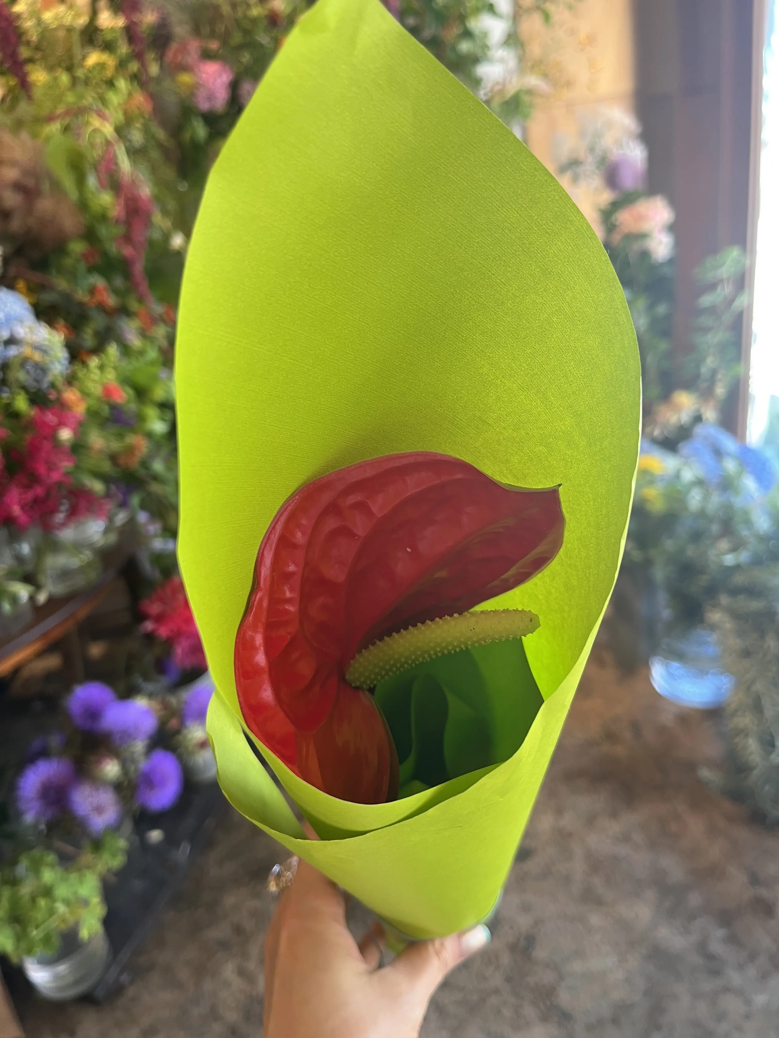 初夏のお花で『花屋で写真館♪』_1_13