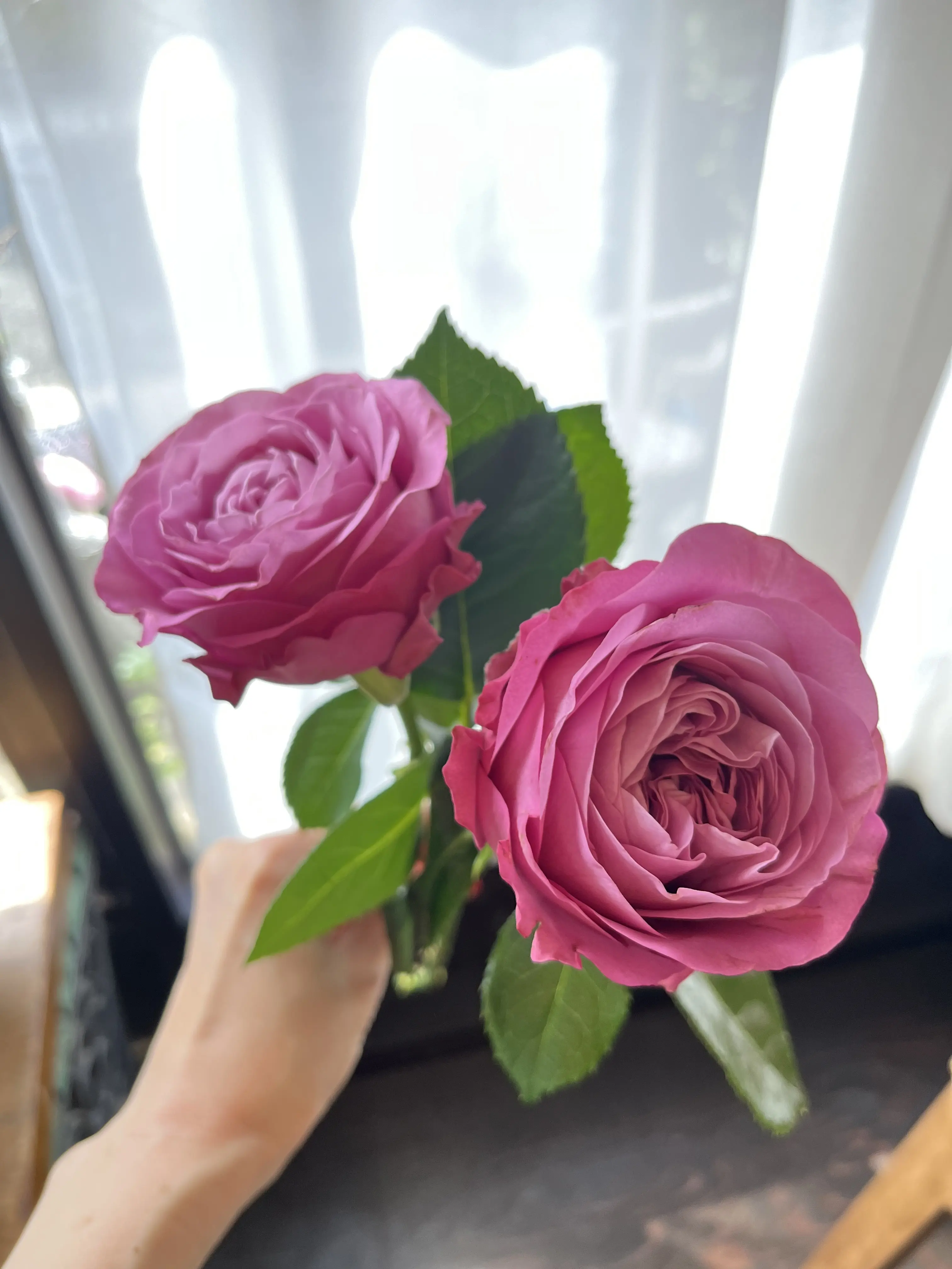最近の〝花活〟_1_5