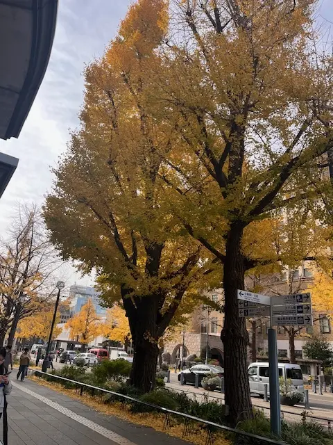 見納め紅葉～中華街から横浜街歩き_1_6