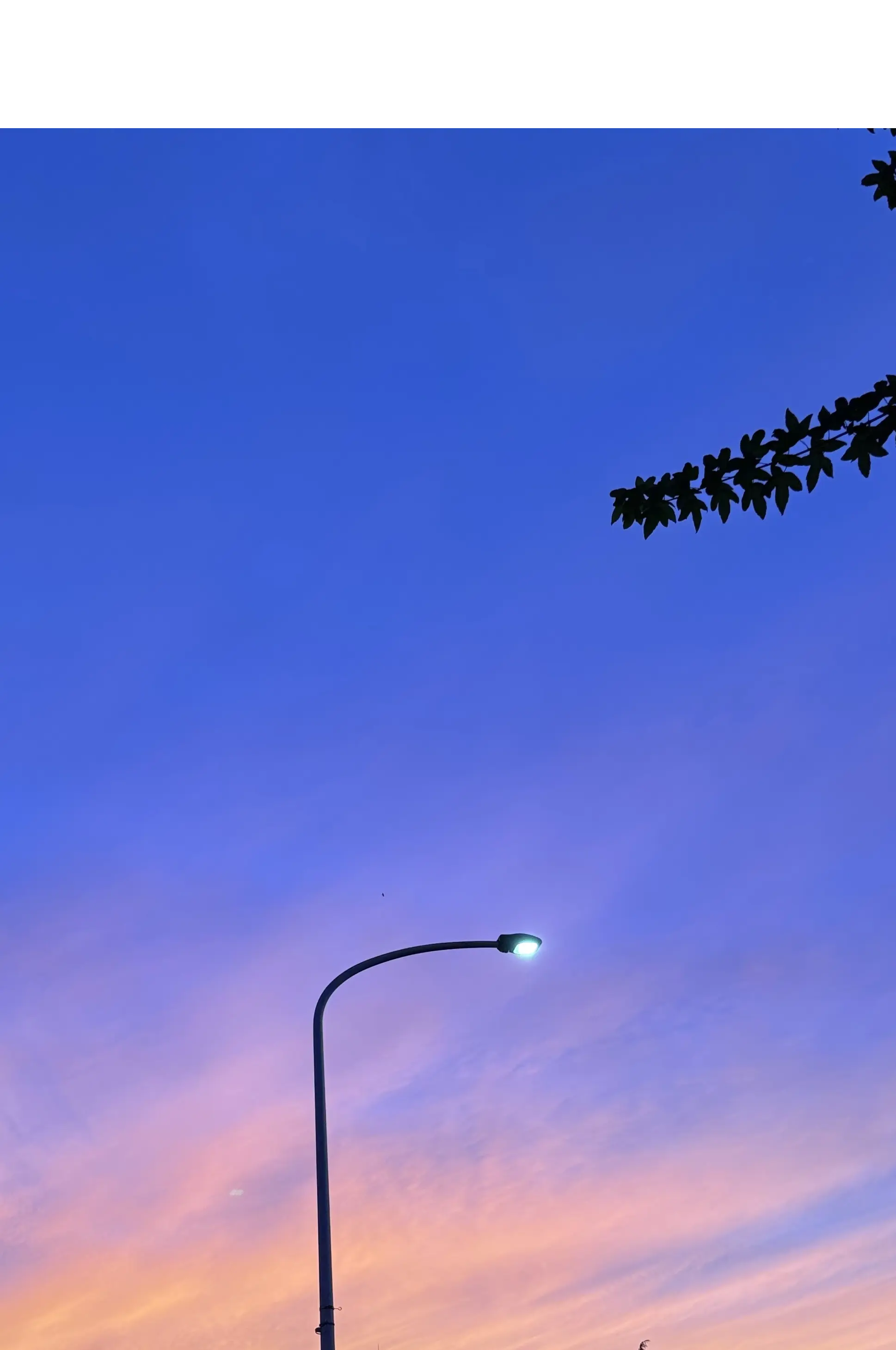 秋空 キレイな空 ゆうやけ 夕焼け空